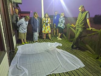 Liblikate öövaatlus. Hetkel veel ootame piisavat pimenemist et liblikad julgeks tulla